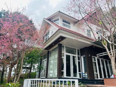 MÂY 4 VILLA ĐÀ LẠT (V165)