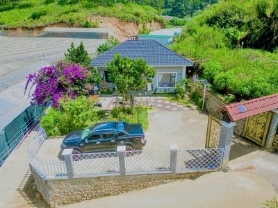 CÂY THÔNG HOUSE ĐÀ LẠT (V208)