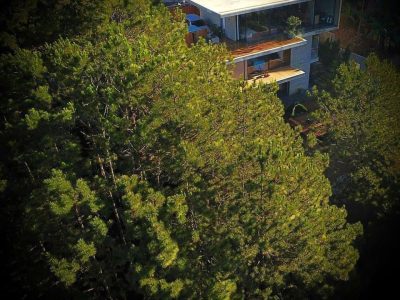 NERY 5 VILLA ĐÀ LẠT (V253)