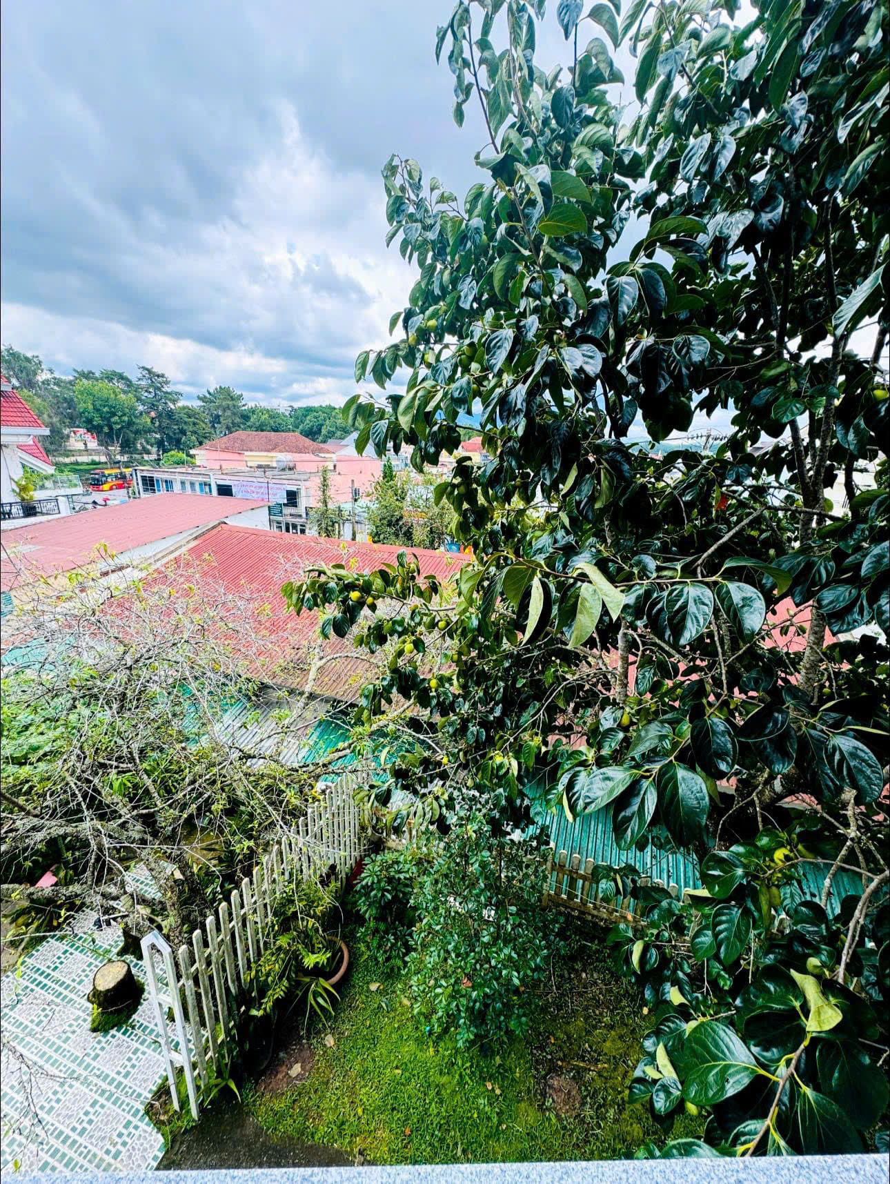 z5773680781227_830b83c6fe4f0608cb942bf46f688db9